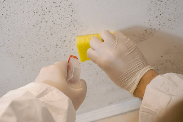 Best Airborne Mold Testing  in Marlin, TX